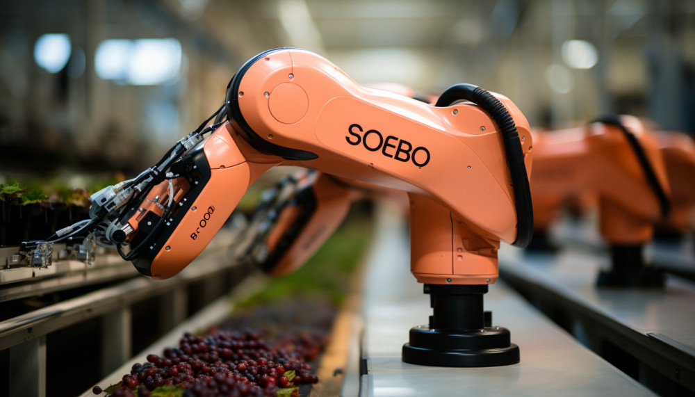 Zéro déchet : comment la technologie peut aider